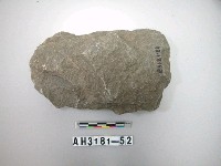 藏品(大型淺腰打製石斧)的圖片